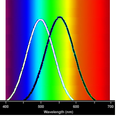 slide0002_image004.png