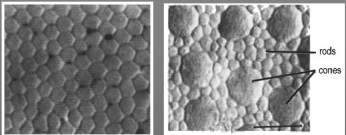slide0017_image118.png