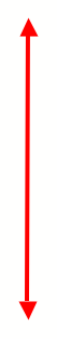 slide0017_image120.png