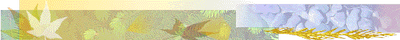 master05_image001.png