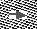 slide0018_image144.gif