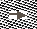 slide0018_image155.gif