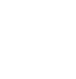 slide0043_image107.gif