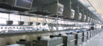 International_0002.jpg
