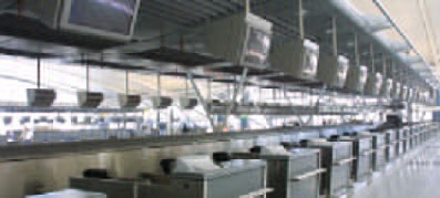 International_0002.jpg