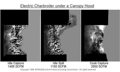 CharUnderCanopy2.jpg