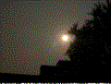 slide0019_image086.gif