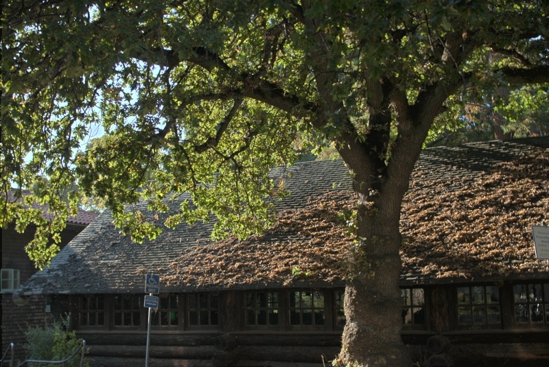 img0094.jpg