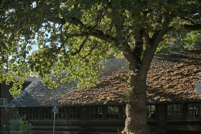 img0094.jpg